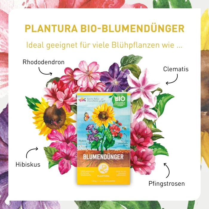 Bio-Blumendünger 1,5 kg - Image 3
