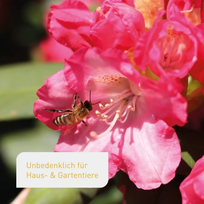 Bio-Blumendünger 1,5 kg - Image 6