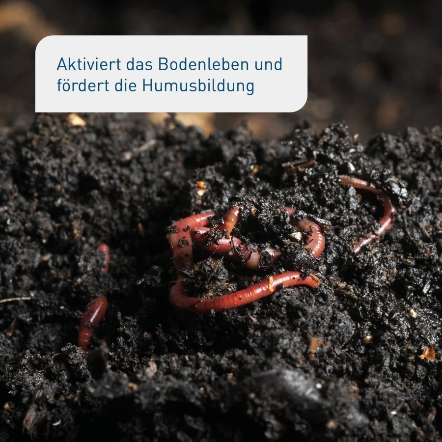 Bio-Bodenaktivator 10,5 kg (Sack) - Image 4