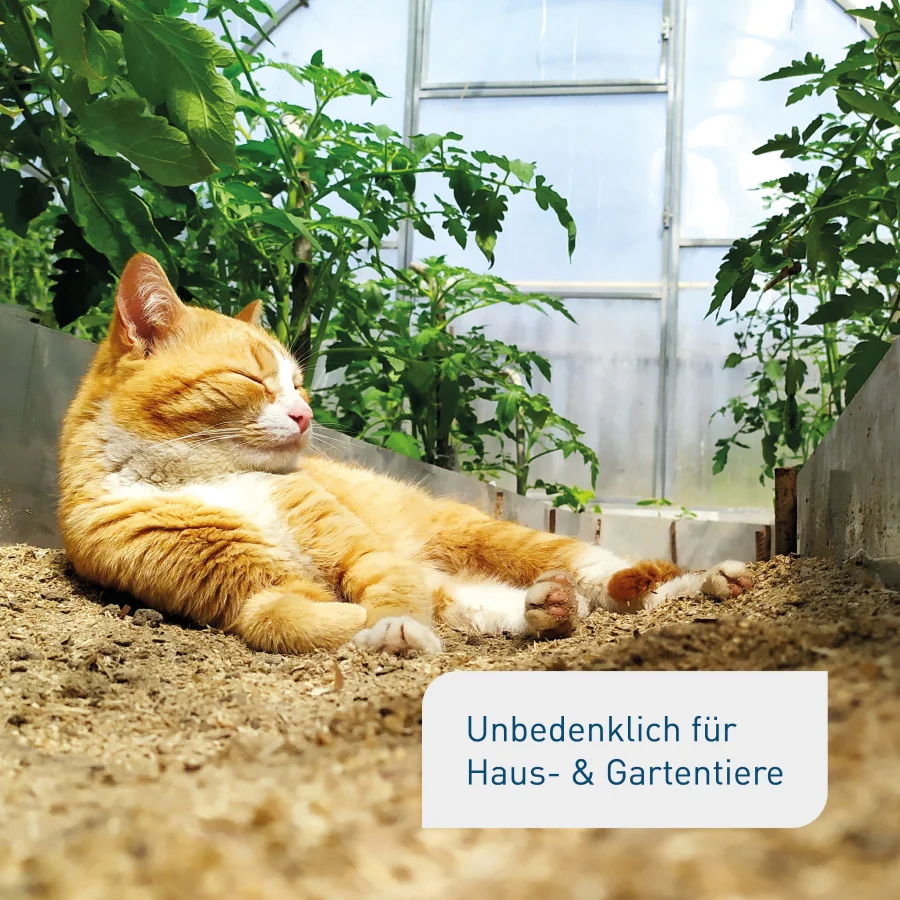 Bio-Bodenaktivator 10,5 kg (Sack) - Image 6