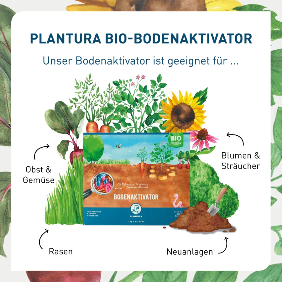 Bio-Bodenaktivator 3 kg (Box) - Image 3