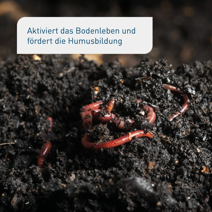 Bio-Bodenaktivator 3 kg (Box) - Image 4
