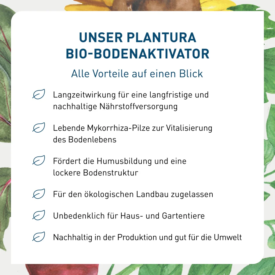 Bio-Bodenaktivator 3 kg (Box) - Image 7