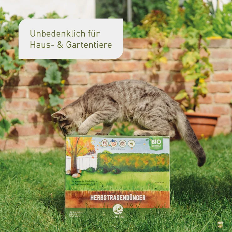 Bio-Herbstrasendünger 3 kg (Box) - Image 6