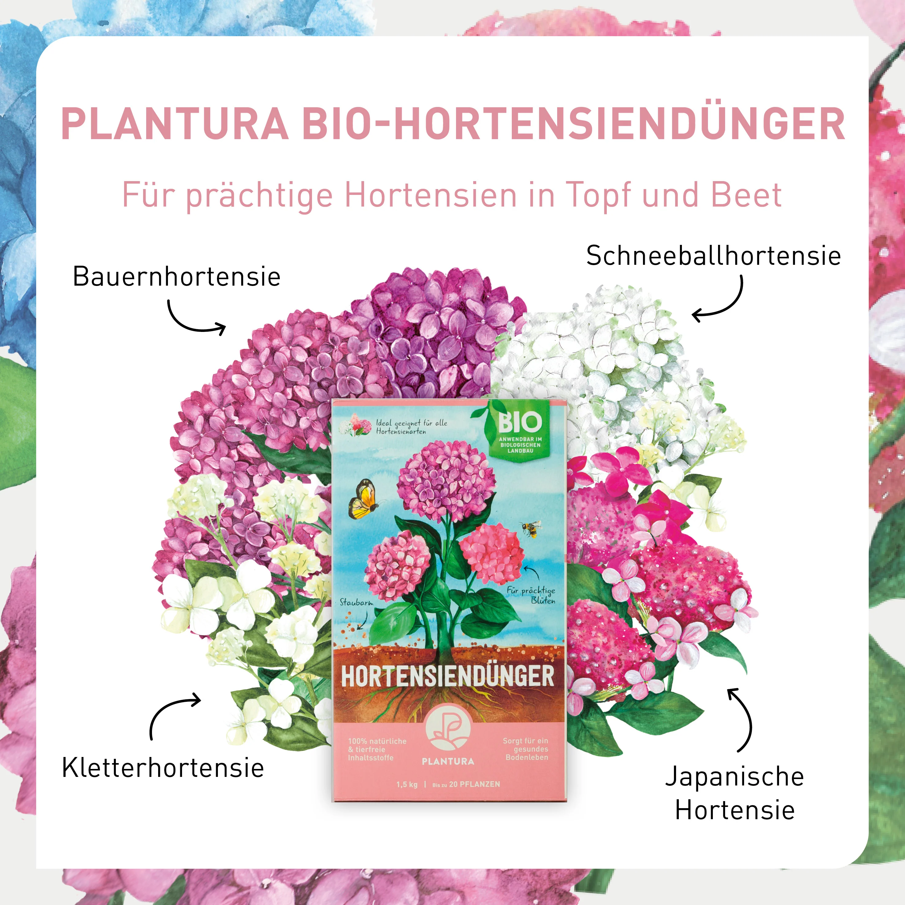 Bio-Hortensiendünger 1,5 kg - Image 3