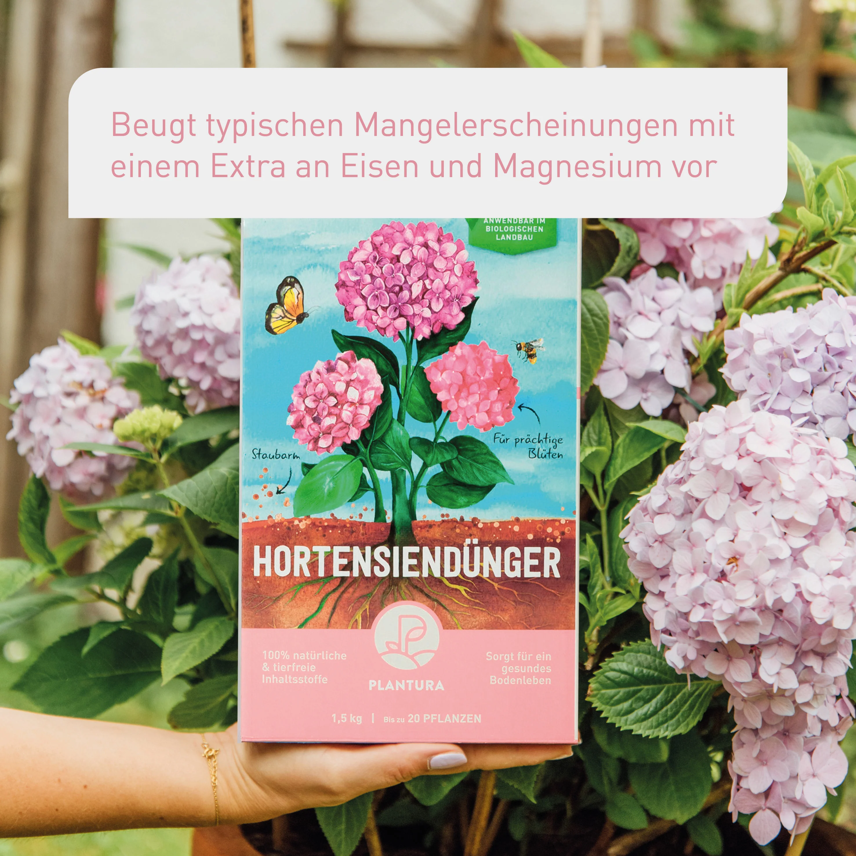 Bio-Hortensiendünger 1,5 kg - Image 4