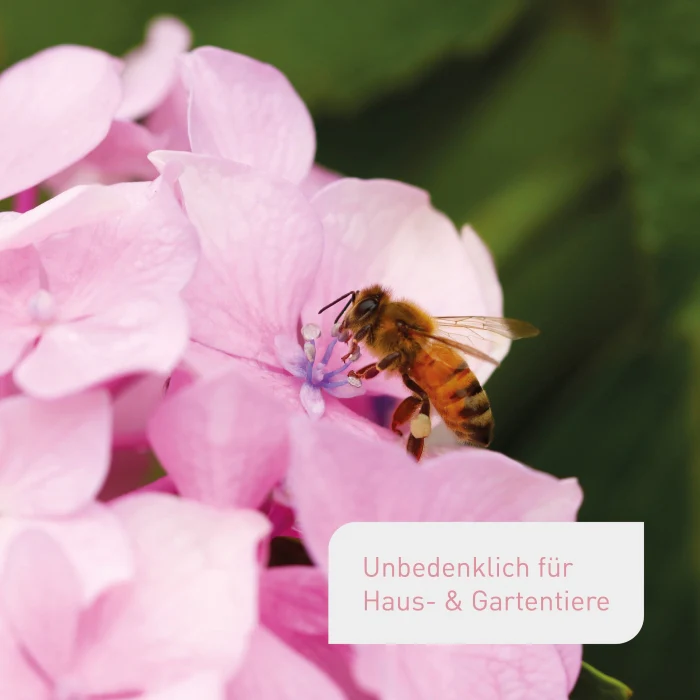 Bio-Hortensiendünger 1,5 kg - Image 6