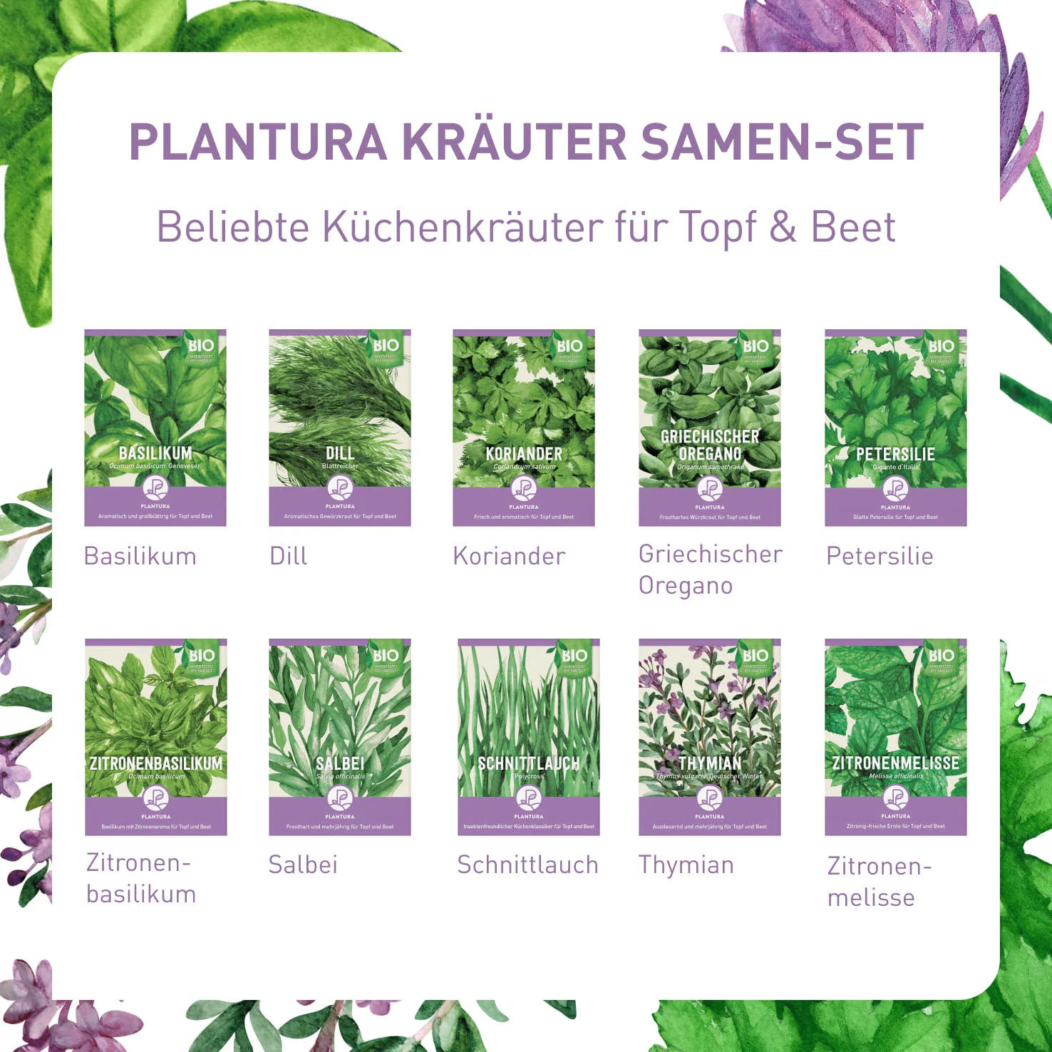 Bio-Kräuter Samen-Set mit 10 Sorten - Image 3