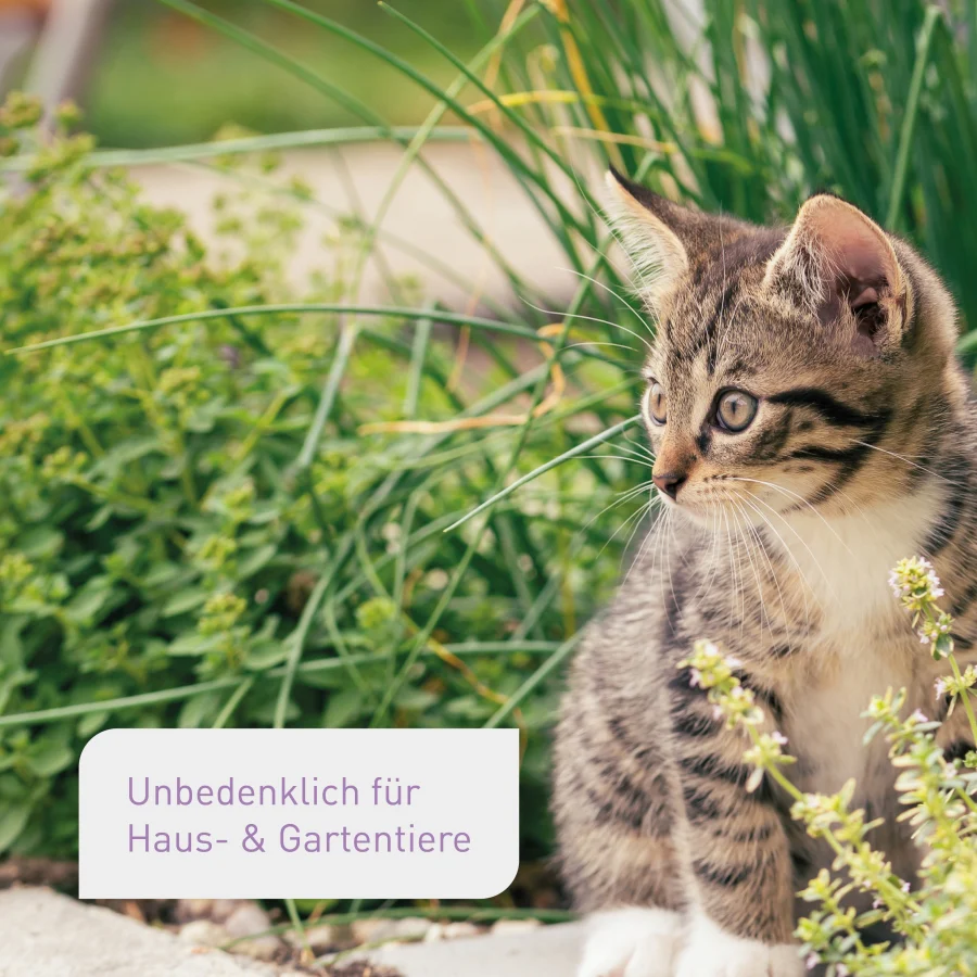 Bio-Kräuter- & Aussaaterde - Image 7