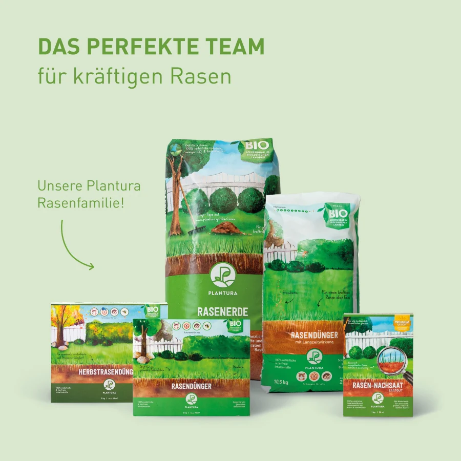 Bio-Rasendünger 10,5 kg (Sack) - Image 8