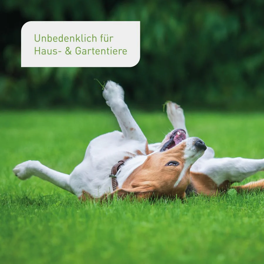 Bio-Rasendünger 3 kg (Box) - Image 5