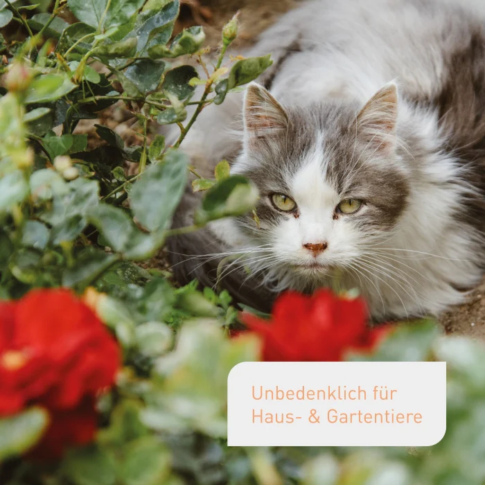 Bio-Rosendünger 1,5 kg - Image 6