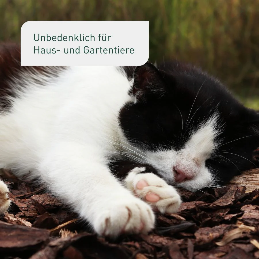 Bio-Pinienrinde Palette 39 x 60 L - Image 6